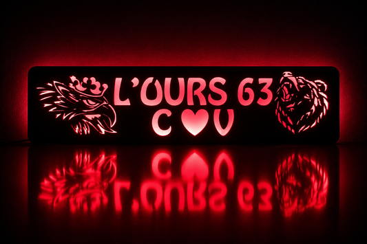 Panneau lumineux camion personnalisée SCANIA