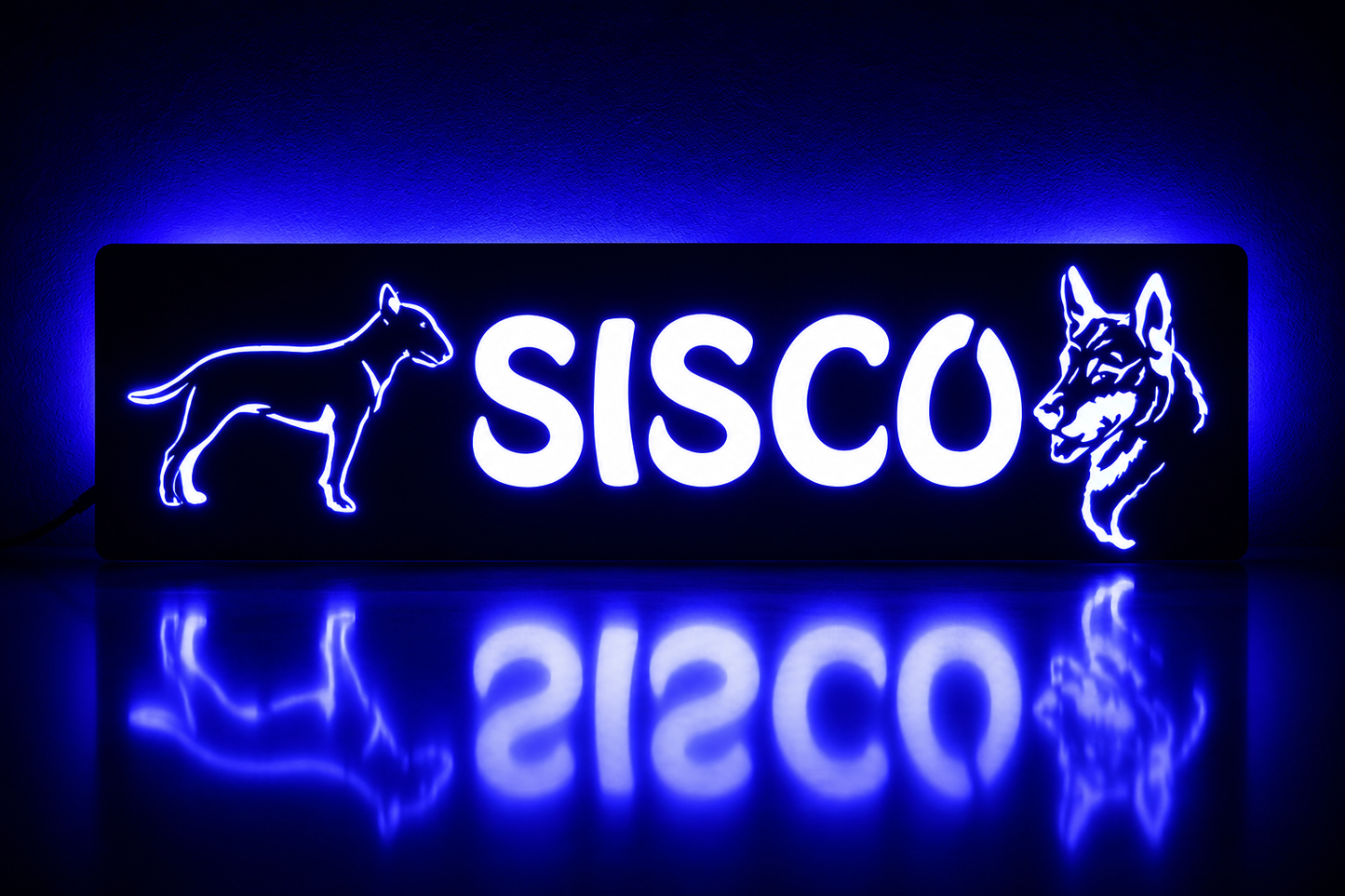 Panneau lumineux camion LED personnalisé chiens
