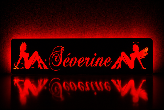 Plaque lumineuse camion sexy