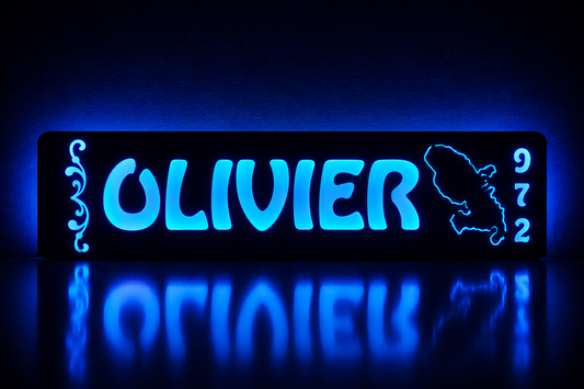 Plaque lumineuse camion Martinique