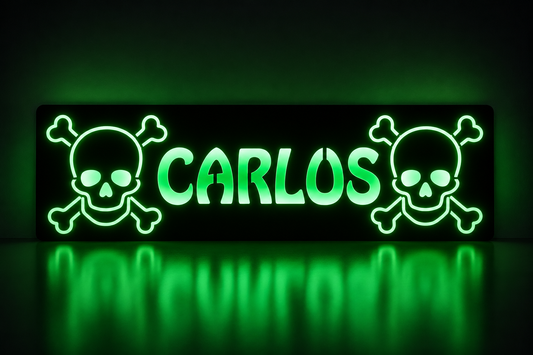 Plaque lumineuse camion TETE DE MORT