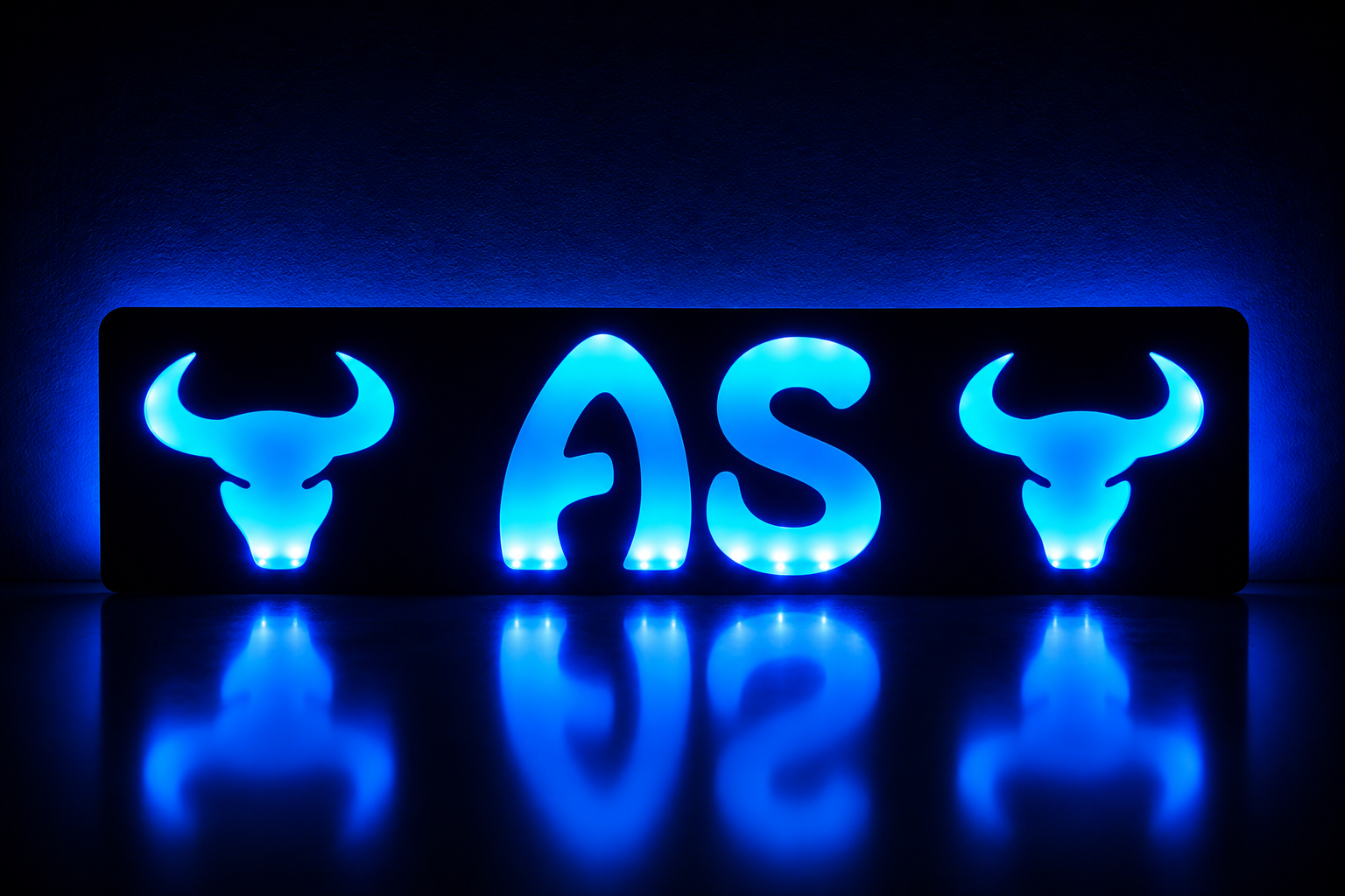 Plaque lumineuse camion Taureau