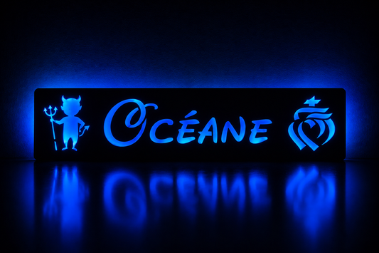 Plaque lumineuse camion Coeur vendéen